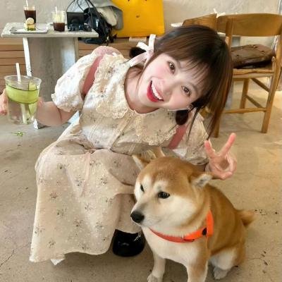 安德鲁克里斯和狮子